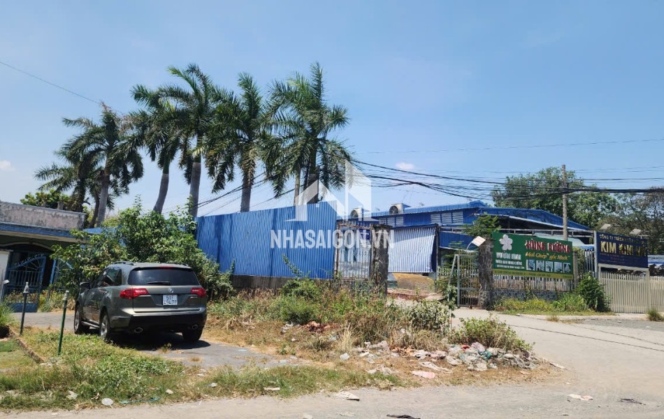 MT Trịnh Quang Nghị, Phong Phú, Bình Chánh 333.9m², 13t nhỉnh